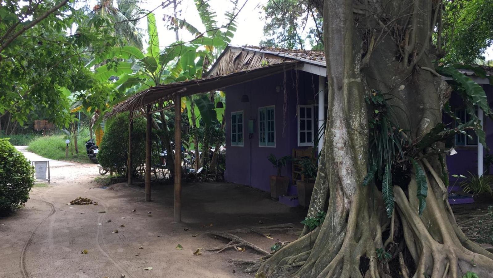 Colorful Hut Hotel Ko Pha Ngan Room photo